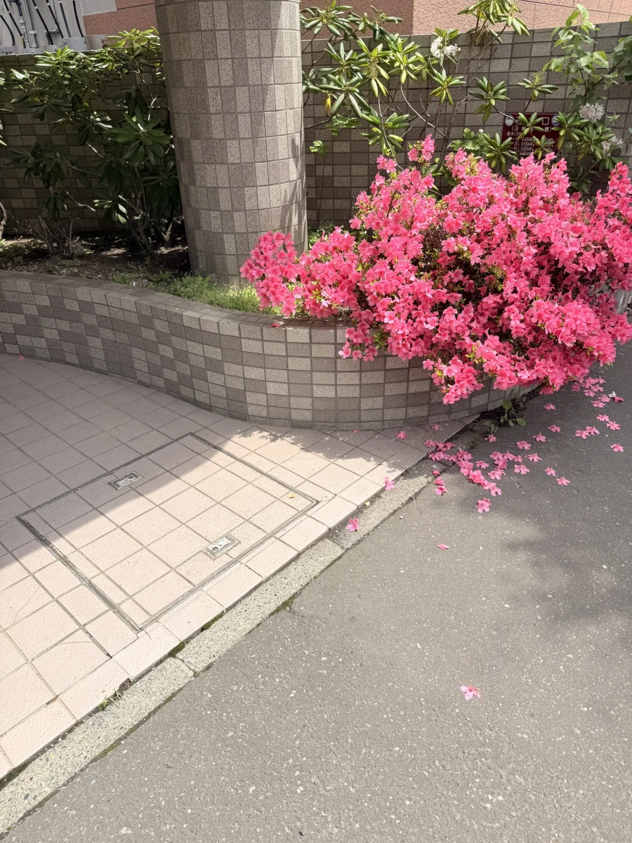 北海道札幌市中央区北条 回収後