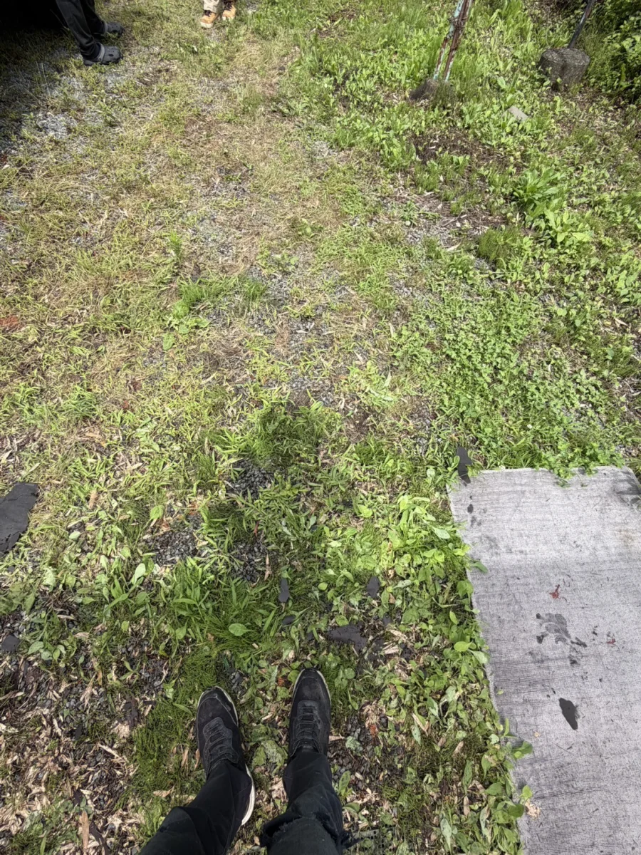 福島県双葉郡広野町大字折木下原 回収後